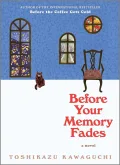 Before Your Memory Fades