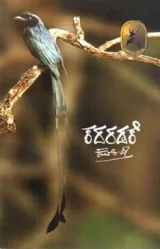 Kadaradake | ಕದರಡಕೆ