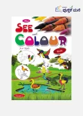 Mini See and Colour For Kids : Birds
