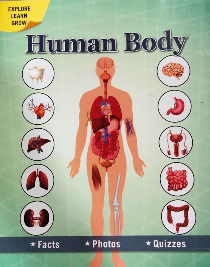 Human Body