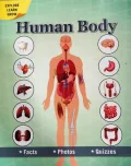 Human Body