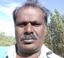 Padmalaya Nagaraja